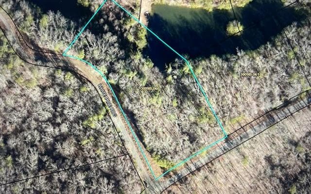 LT 50 White Pine Ridge, Ellijay GA 30540 - Photo
