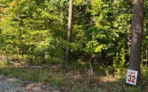 LT 32 Buck Creek Road, Ellijay GA 30540 - Photo