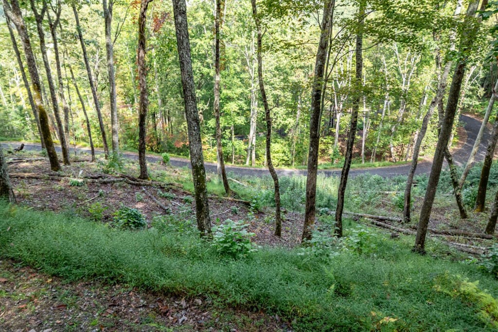 Lot 20 Buckhead Hills, Hiawassee GA 30546 - Photo