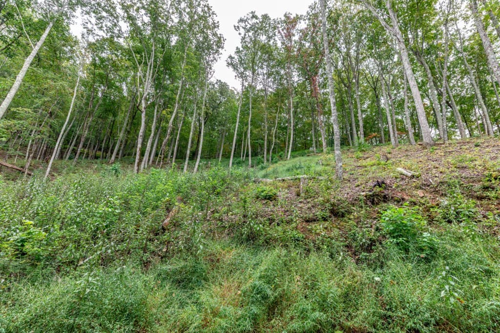 Lot 20 Buckhead Hills, Hiawassee GA 30546 - Photo