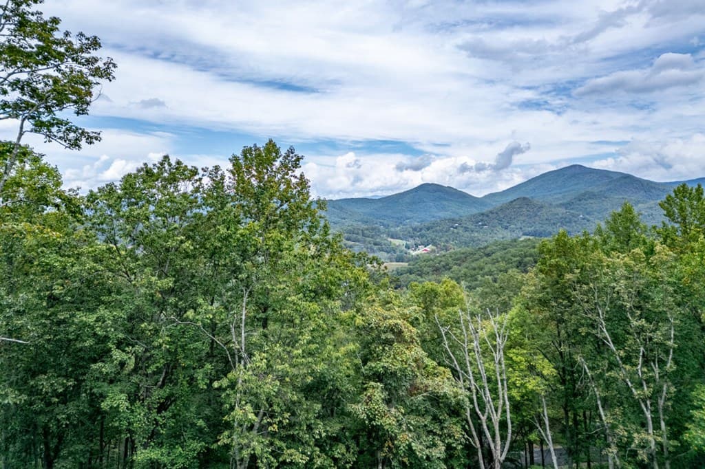 Lot 20 Buckhead Hills, Hiawassee GA 30546 - Photo