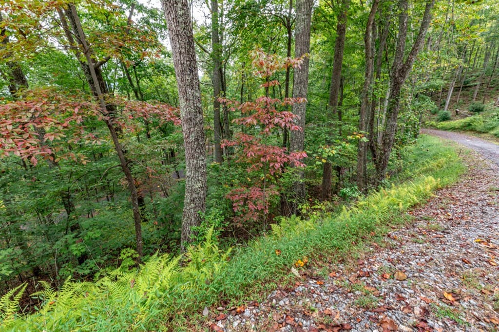 Lot 20 Buckhead Hills, Hiawassee GA 30546 - Photo