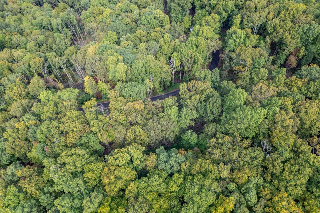 Lot 20 Buckhead Hills, Hiawassee GA 30546 - Photo