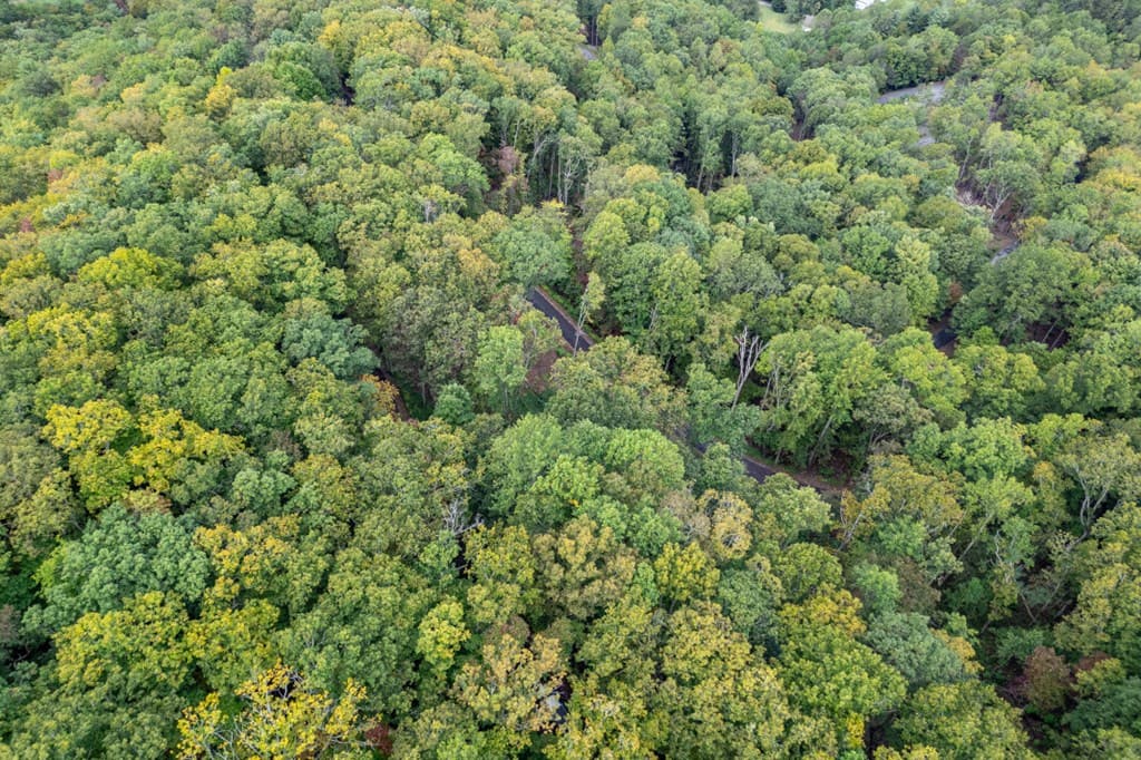 Lot 20 Buckhead Hills, Hiawassee GA 30546 - Photo