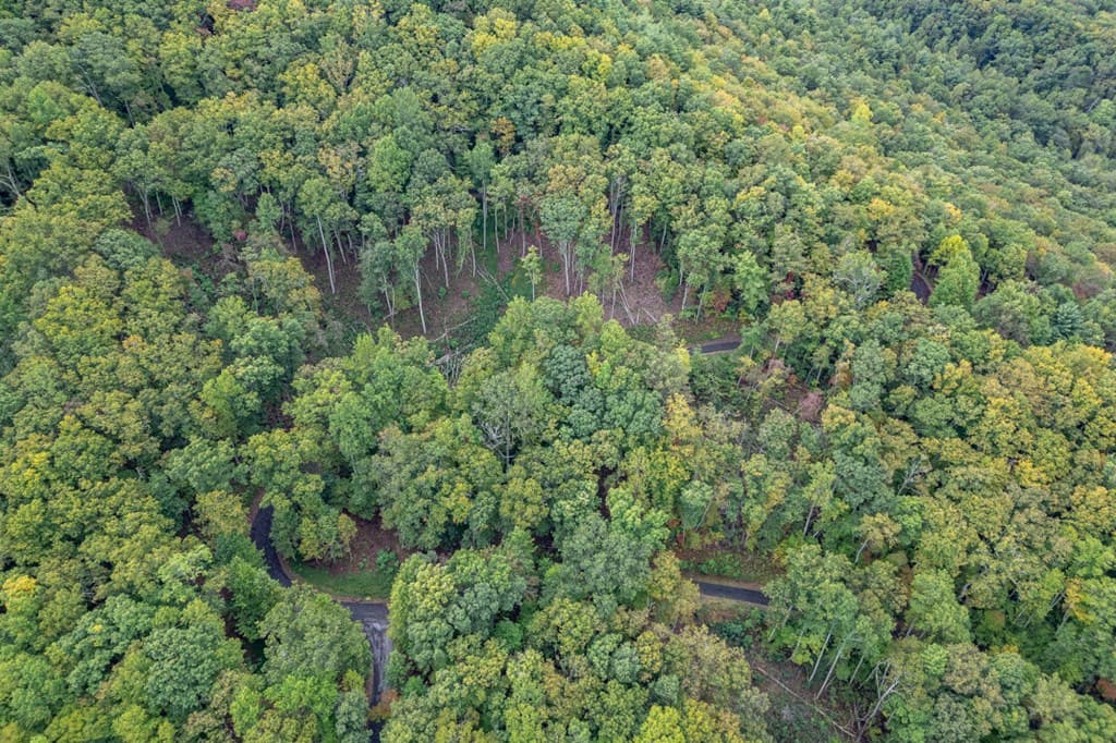 Lot 20 Buckhead Hills, Hiawassee GA 30546 - Photo