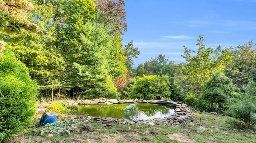 691 Mitchell Branch Road, Morganton GA 30560 - Photo