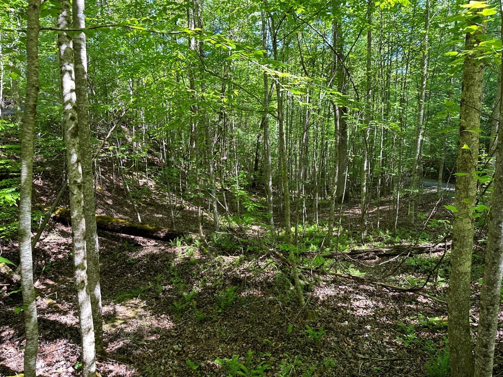 0 Reserve Estates, Murphy NC 28906 - Photo