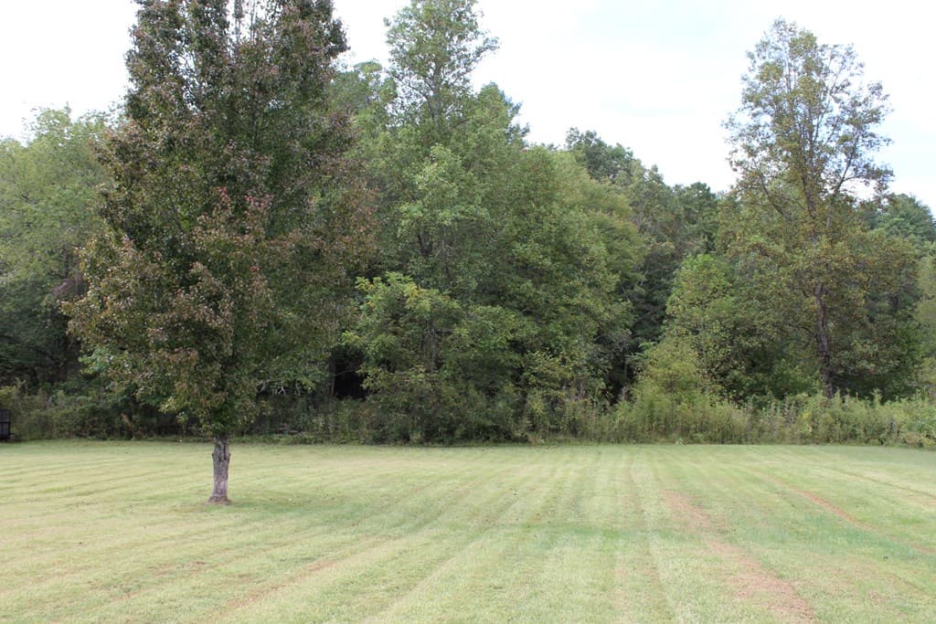 Lot 13 Creekside Acres, Brasstown NC 28902 - Photo