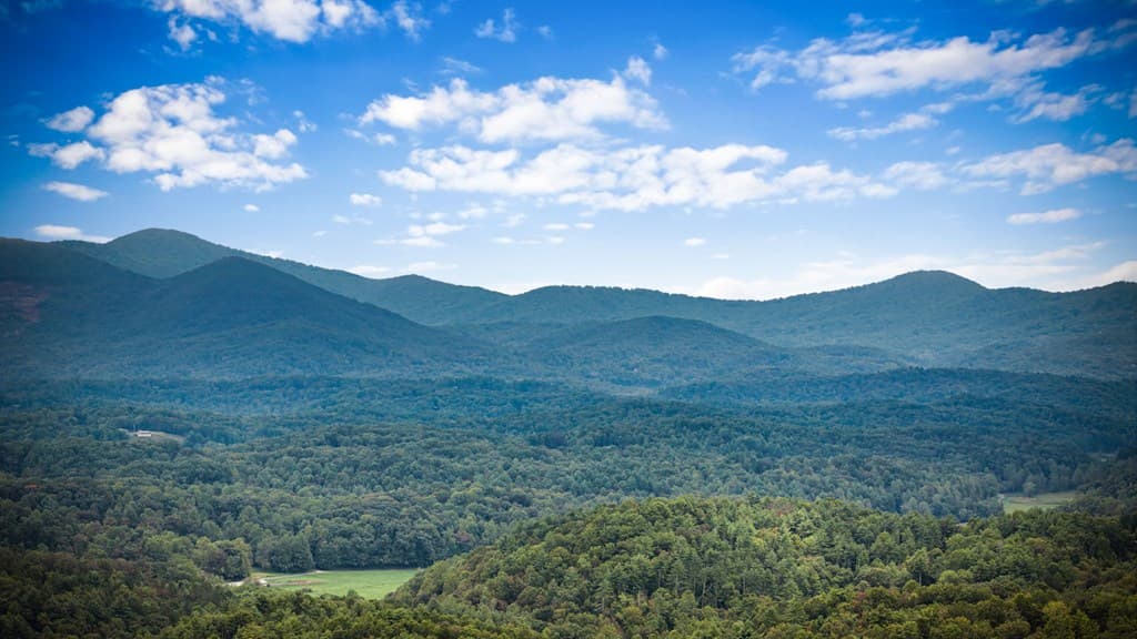 132 Newberry Street, Ellijay GA 30540 - Photo