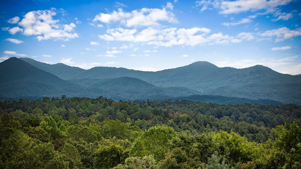 132 Newberry Street, Ellijay GA 30540 - Photo