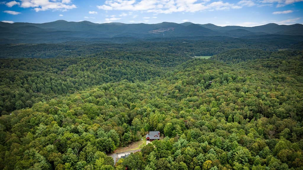 132 Newberry Street, Ellijay GA 30540 - Photo