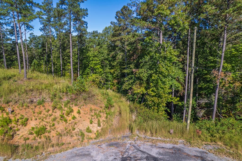 Lot 52 Royal Wulff Avenue, Talking Rock GA 30175 - Photo