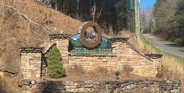 37 Black Bear Ridge Road, Ellijay GA 30536 - Photo