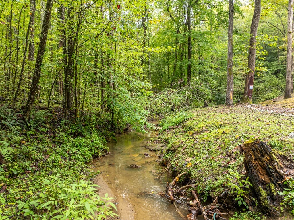 850 Valley Drive, Ellijay GA 30536 - Photo