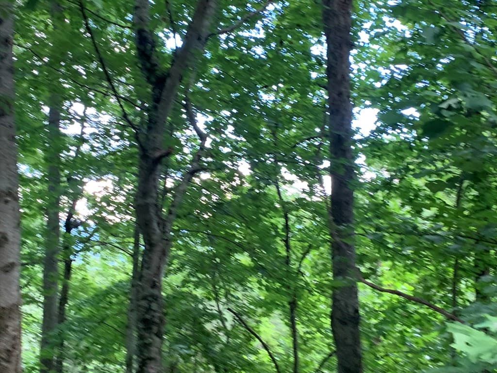 Lot 21 Tahlequah Ridge, Hayesville NC 28904 - Photo