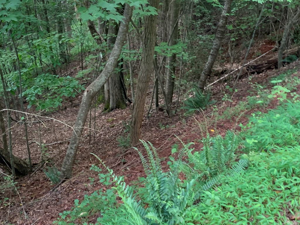 Lot 21 Tahlequah Ridge, Hayesville NC 28904 - Photo