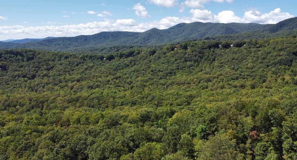 00 Double Knob Road, Ellijay GA 30540 - Photo
