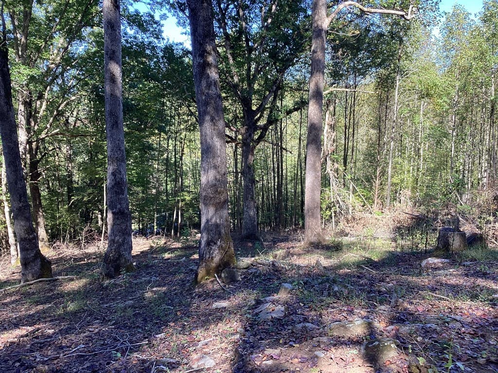 Lot 2 Buckhead Hills, Hiawassee GA 30546 - Photo