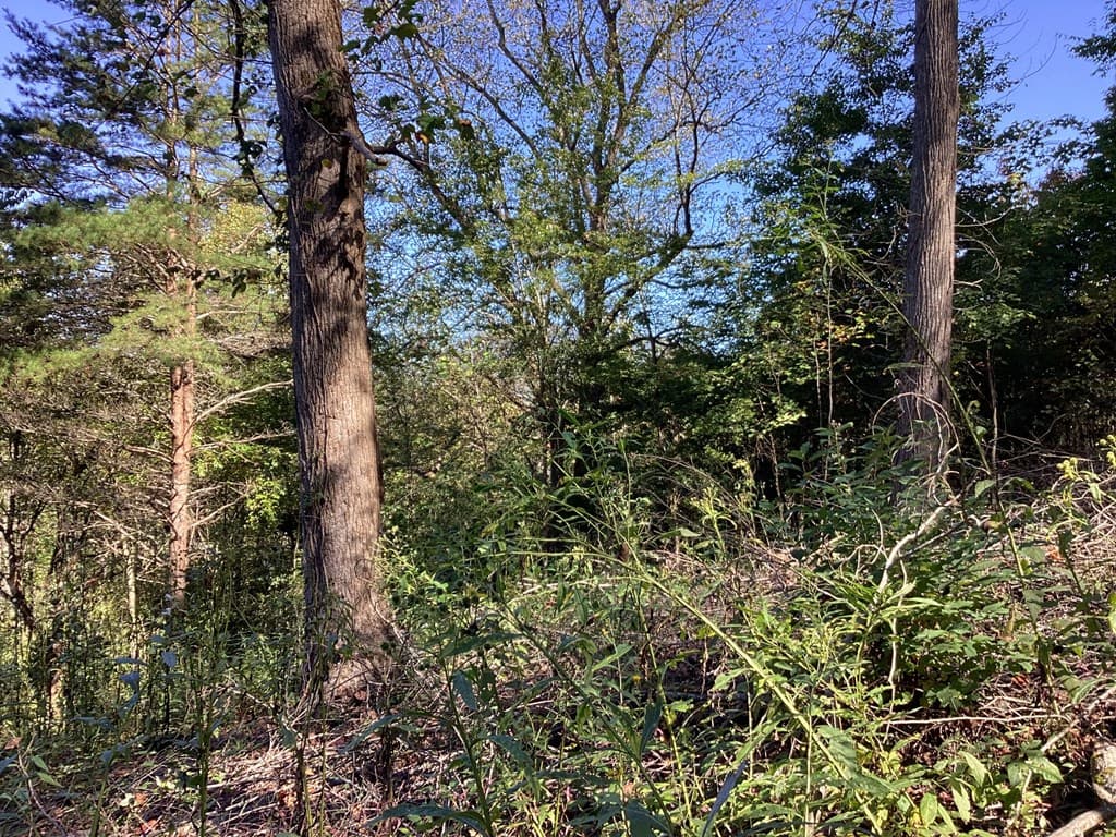 Lot 2 Buckhead Hills, Hiawassee GA 30546 - Photo