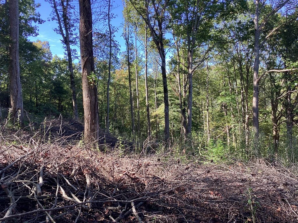 Lot 2 Buckhead Hills, Hiawassee GA 30546 - Photo