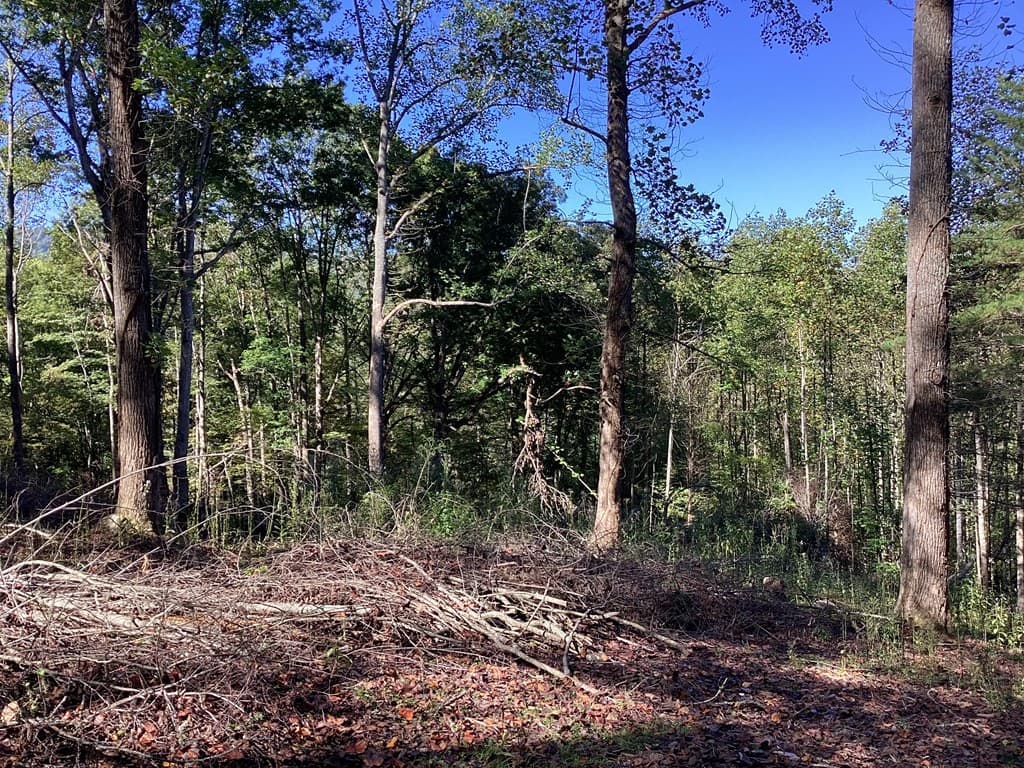 Lot 2 Buckhead Hills, Hiawassee GA 30546 - Photo