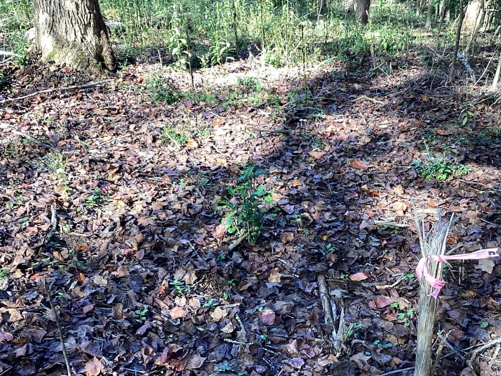 Lot 2 Buckhead Hills, Hiawassee GA 30546 - Photo