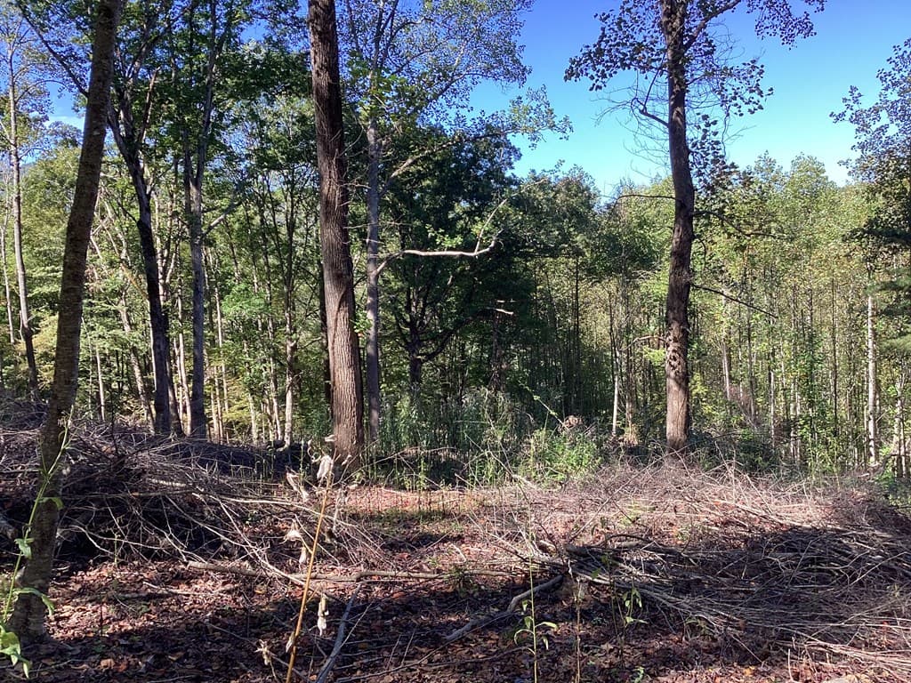 Lot 2 Buckhead Hills, Hiawassee GA 30546 - Photo