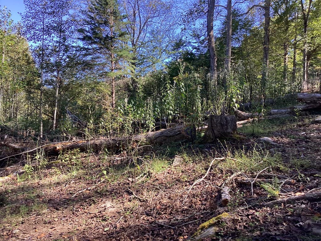 Lot 2 Buckhead Hills, Hiawassee GA 30546 - Photo