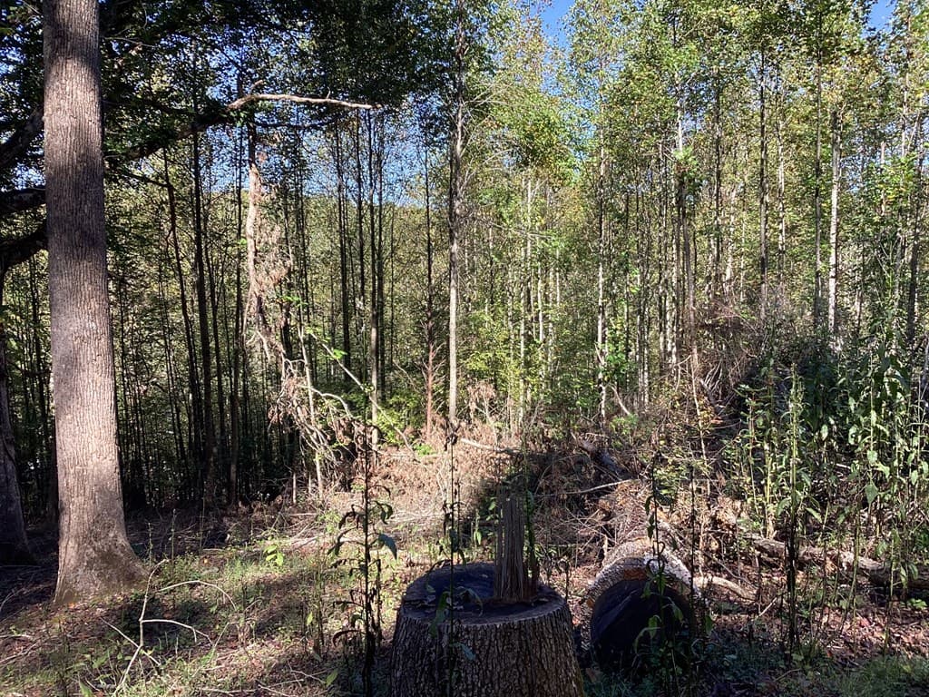 Lot 2 Buckhead Hills, Hiawassee GA 30546 - Photo