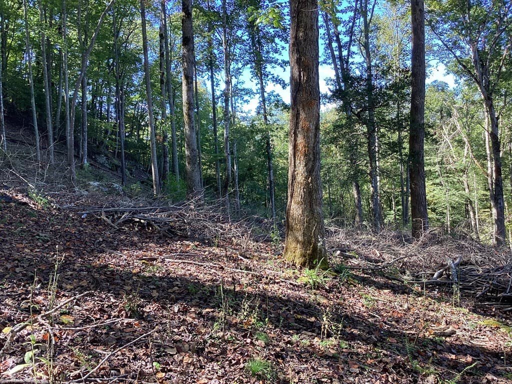 Lot 2 Buckhead Hills, Hiawassee GA 30546 - Photo