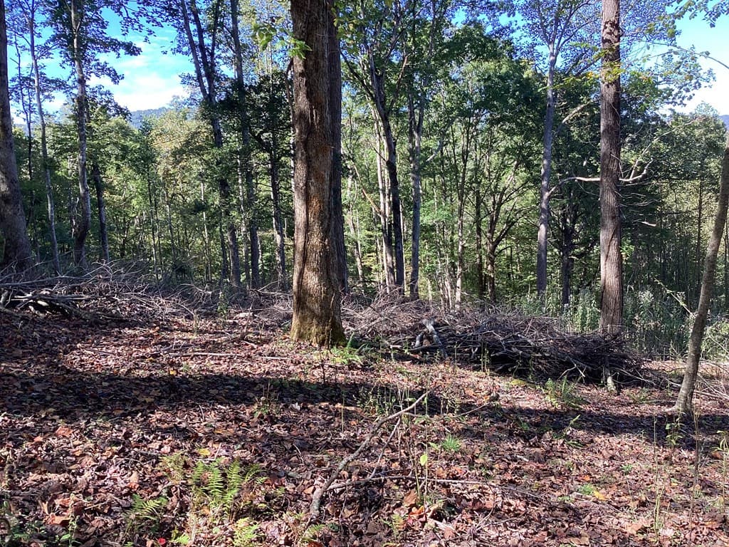 Lot 2 Buckhead Hills, Hiawassee GA 30546 - Photo