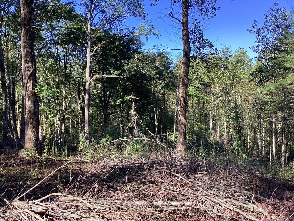 Lot 2 Buckhead Hills, Hiawassee GA 30546 - Photo