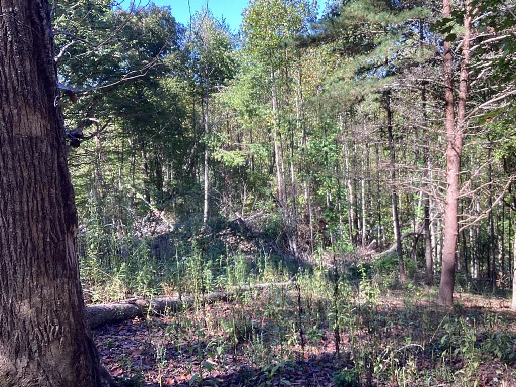 Lot 2 Buckhead Hills, Hiawassee GA 30546 - Photo