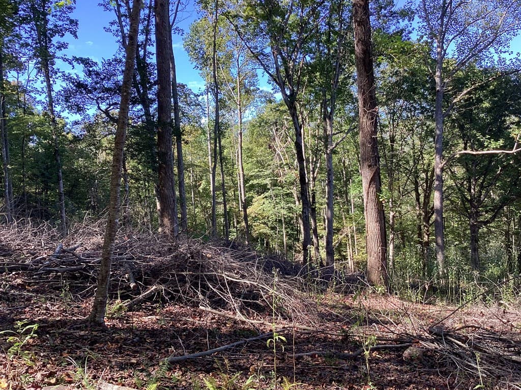 Lot 2 Buckhead Hills, Hiawassee GA 30546 - Photo