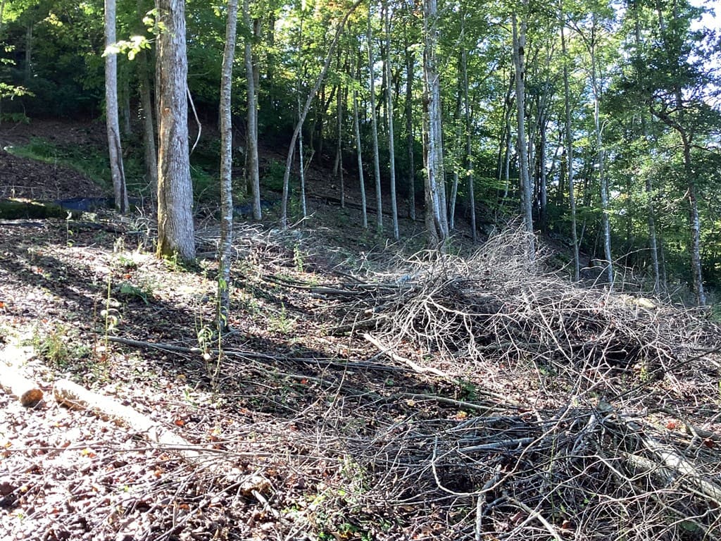 Lot 2 Buckhead Hills, Hiawassee GA 30546 - Photo