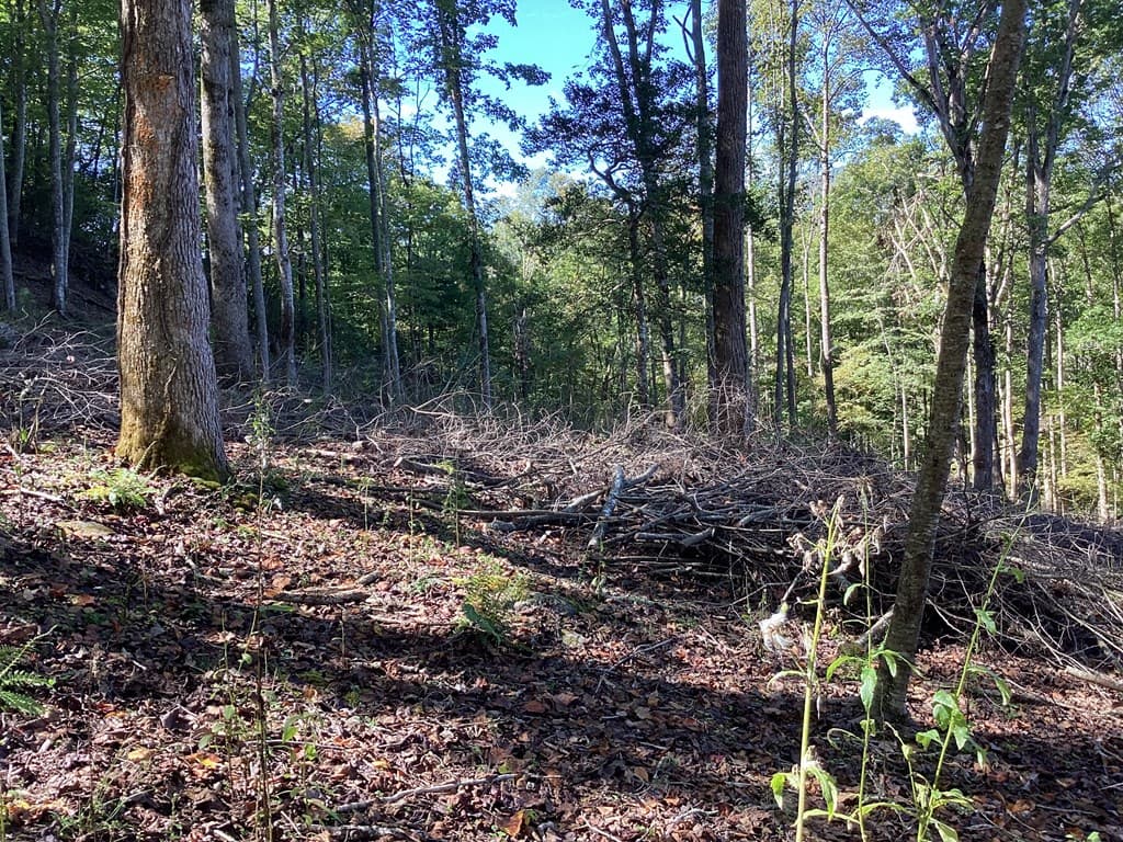 Lot 2 Buckhead Hills, Hiawassee GA 30546 - Photo