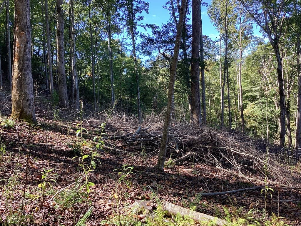 Lot 2 Buckhead Hills, Hiawassee GA 30546 - Photo