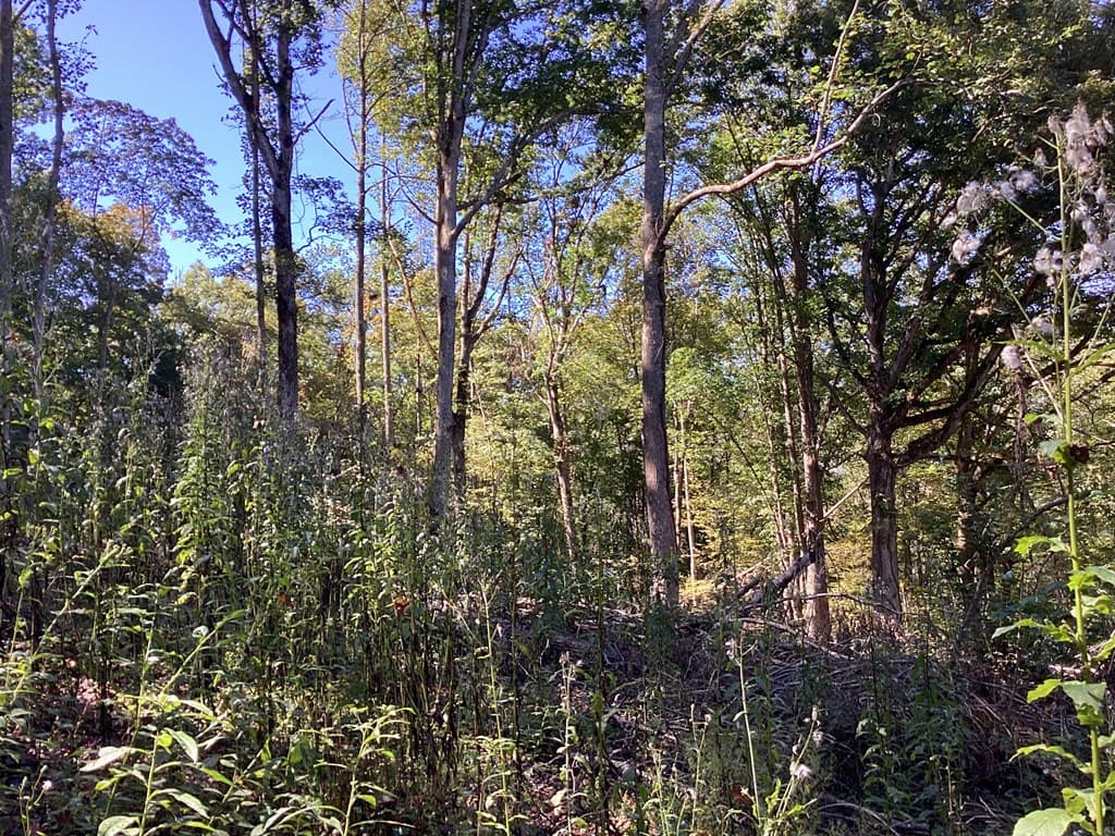 Lot 2 Buckhead Hills, Hiawassee GA 30546 - Photo