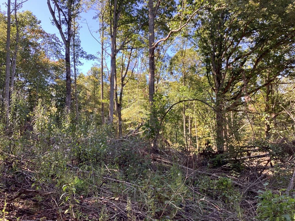 Lot 2 Buckhead Hills, Hiawassee GA 30546 - Photo