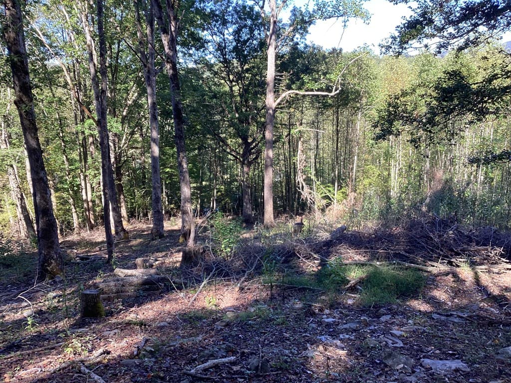 Lot 2 Buckhead Hills, Hiawassee GA 30546 - Photo
