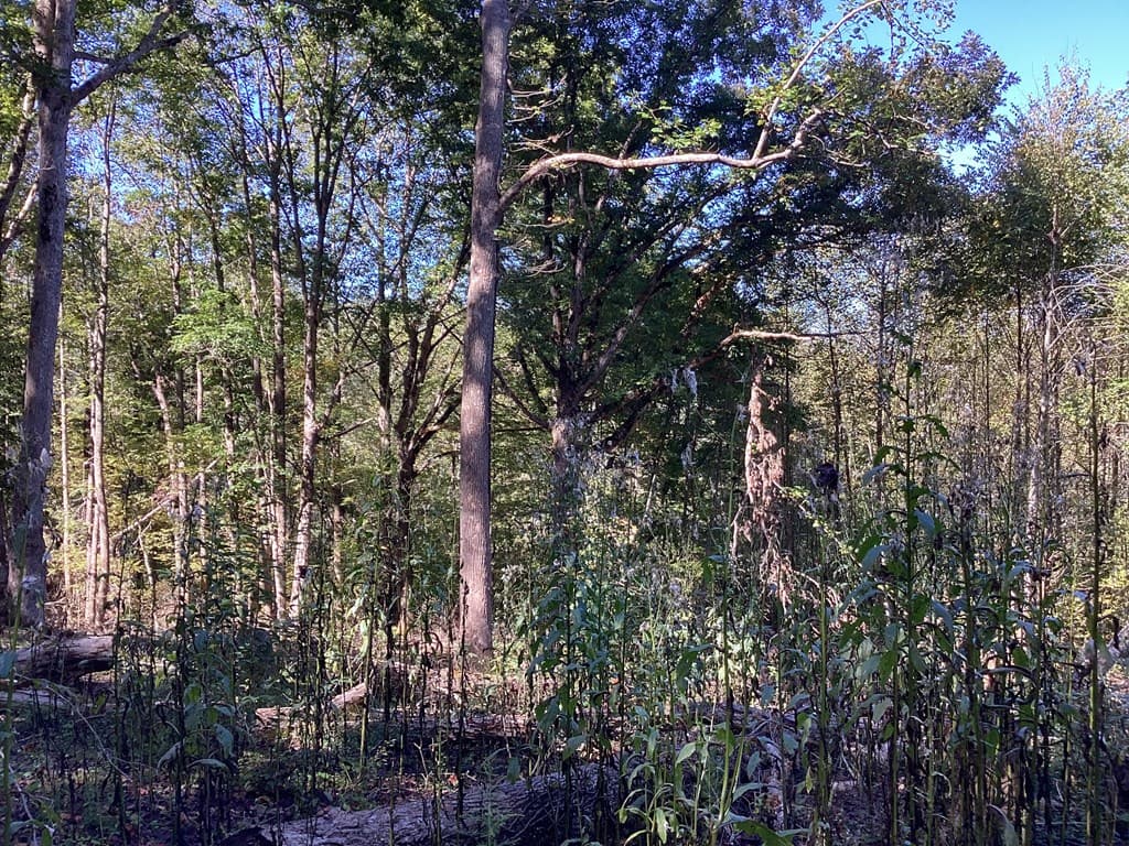 Lot 2 Buckhead Hills, Hiawassee GA 30546 - Photo