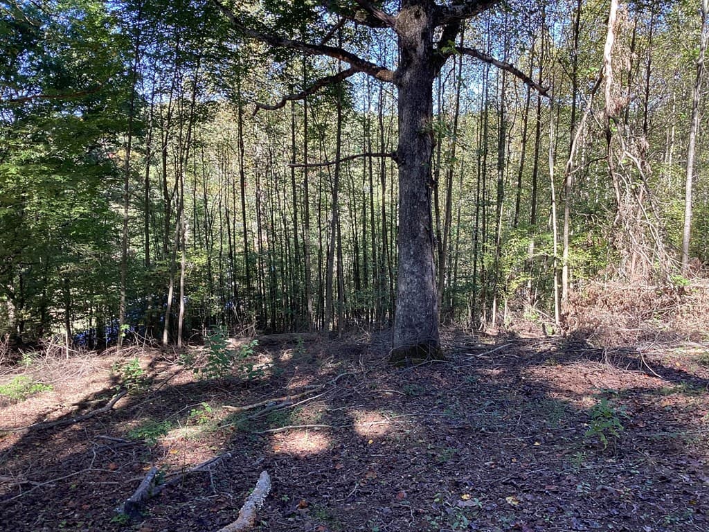 Lot 2 Buckhead Hills, Hiawassee GA 30546 - Photo