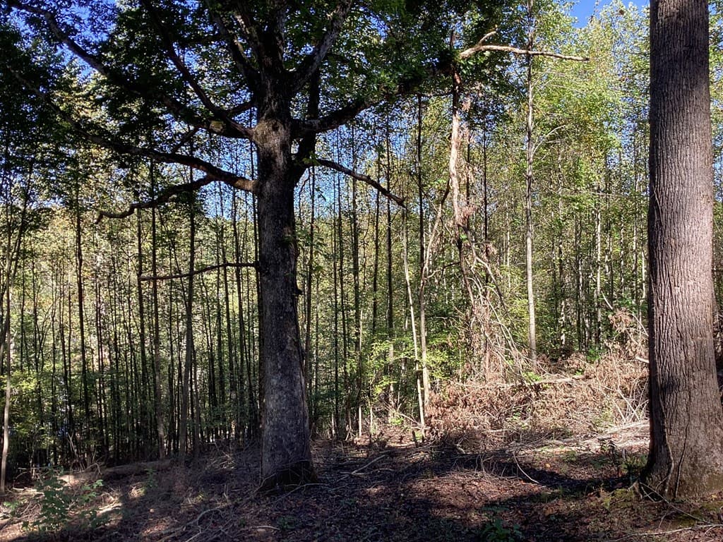 Lot 2 Buckhead Hills, Hiawassee GA 30546 - Photo