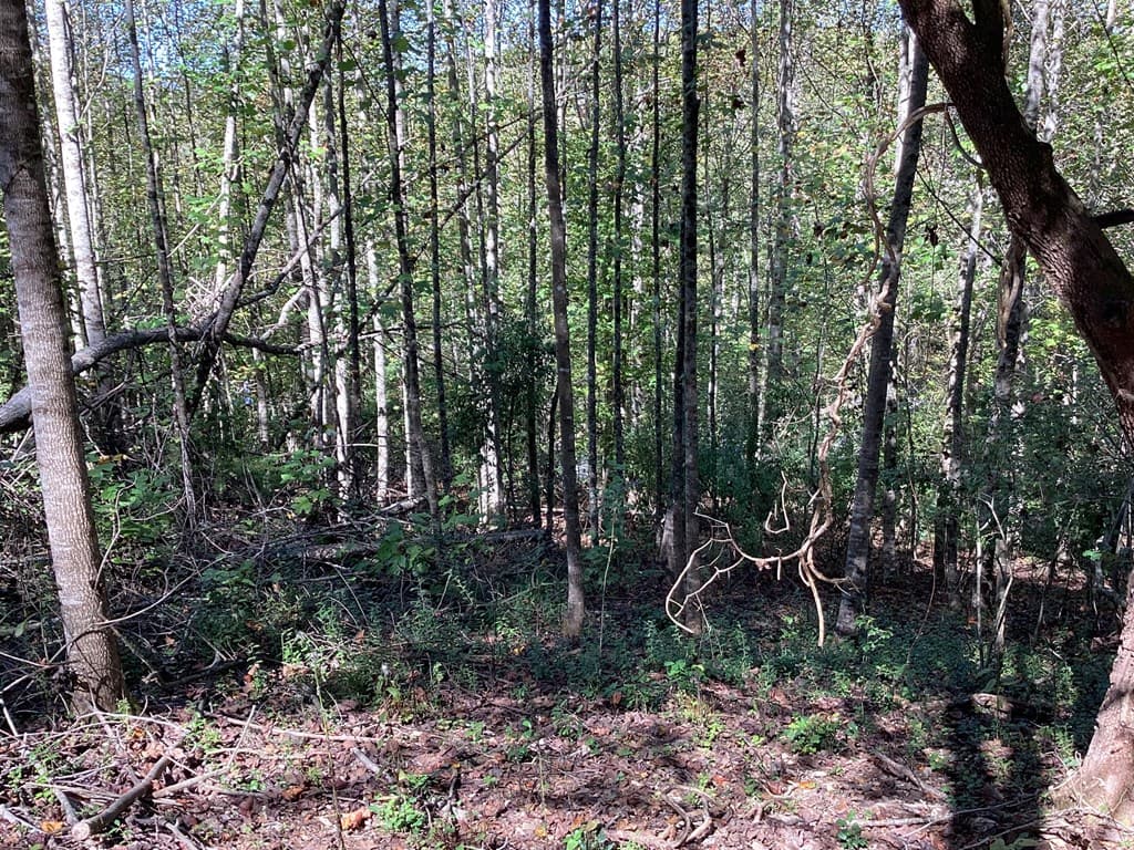 Lot 2 Buckhead Hills, Hiawassee GA 30546 - Photo