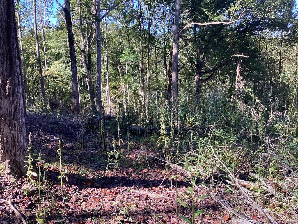 Lot 2 Buckhead Hills, Hiawassee GA 30546 - Photo