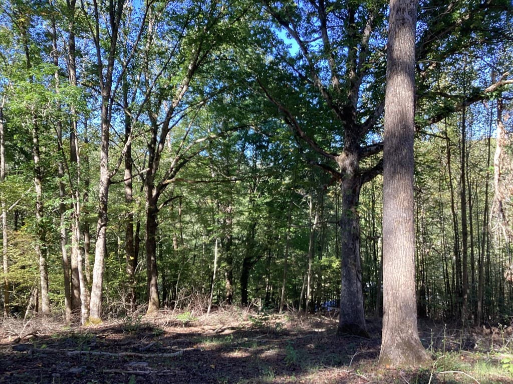 Lot 2 Buckhead Hills, Hiawassee GA 30546 - Photo