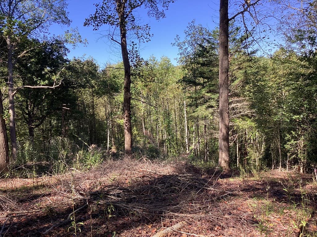 Lot 2 Buckhead Hills, Hiawassee GA 30546 - Photo