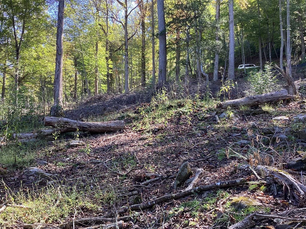Lot 2 Buckhead Hills, Hiawassee GA 30546 - Photo
