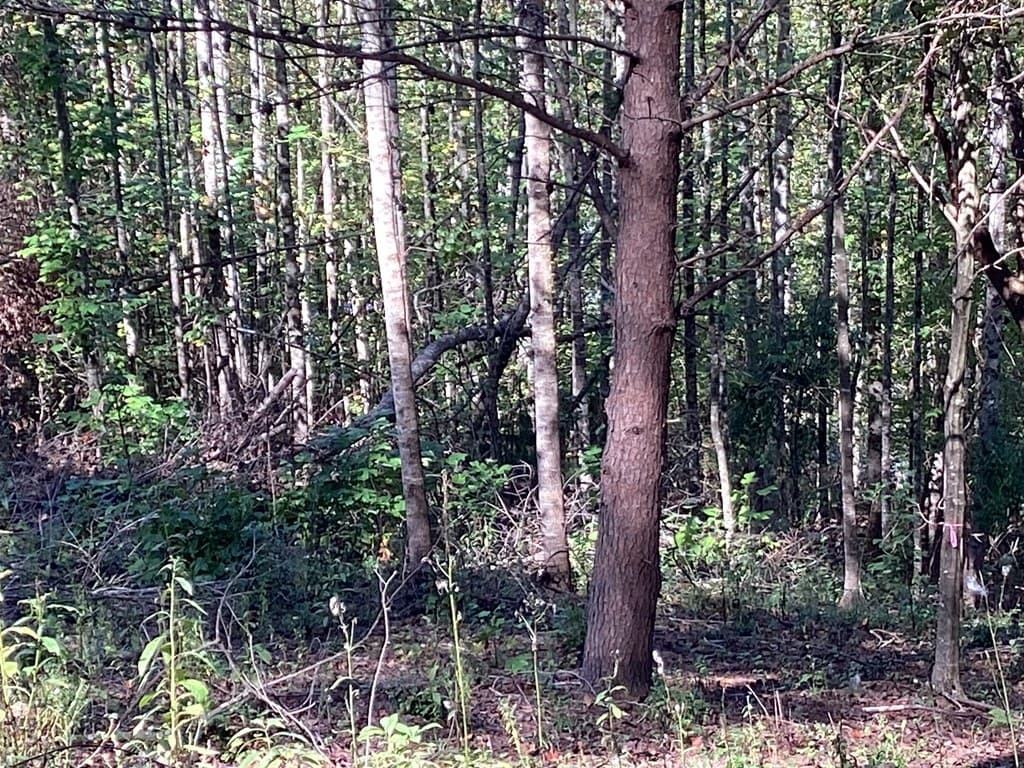 Lot 2 Buckhead Hills, Hiawassee GA 30546 - Photo