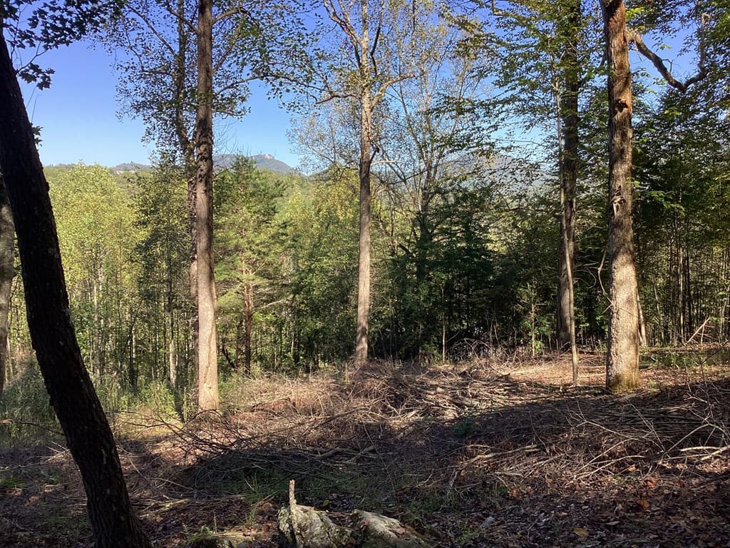 Lot 2 Buckhead Hills, Hiawassee GA 30546 - Photo